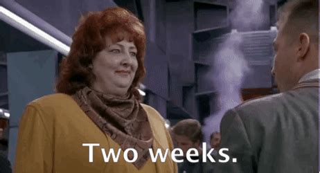 arnold schwarzenegger two weeks gif.